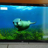 TV led 20 pollici