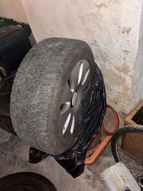 bneumatici sia estivi chebinvernali