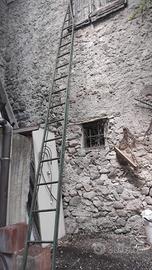 Scala per vendemmia a Nanno(TN)