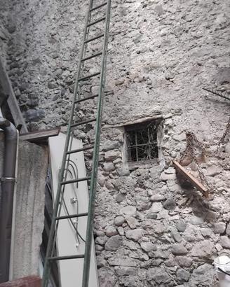 Scala per vendemmia a Nanno(TN)