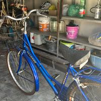 Bicicletta Blu Ellesse