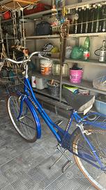 Bicicletta Blu Ellesse