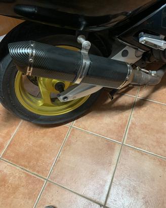 Terminale per T max