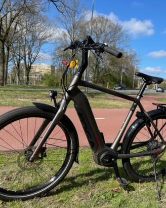 Bici elettrica