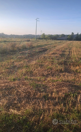 Terreno pianeggiante