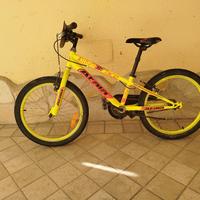 Bicicletta Atala XR250