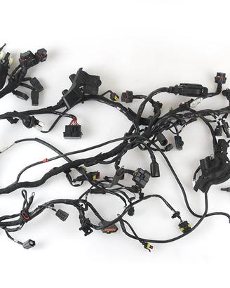 Impianto Elettrico con ABS DUCATI Multistrada 1200