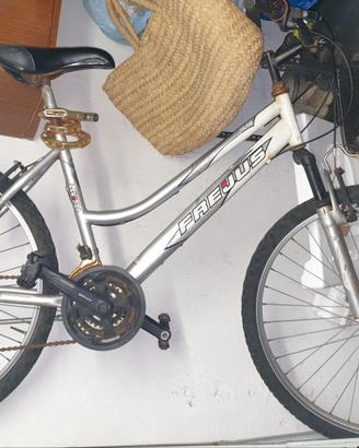 Mountain bike