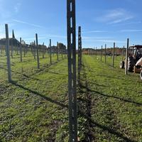 Pali in cemento per vigneto
