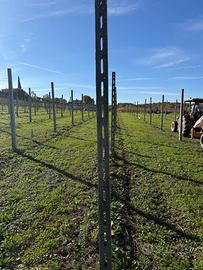 Pali in cemento per vigneto