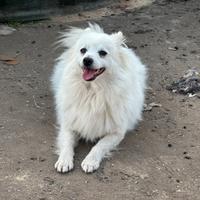 Una famiglia per Axel