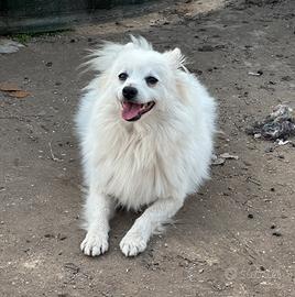 Una famiglia per Axel