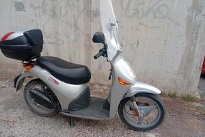 Motorino Ciak 50 
