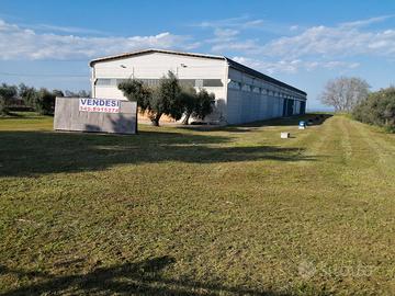 Capannone 2000 mq vasto nord