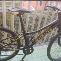 Bicicletta Giant bambini 8-12 anni
