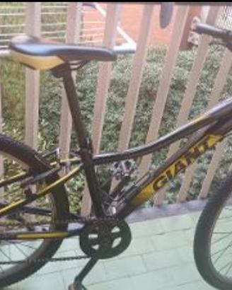 Bicicletta Giant bambini 8-12 anni