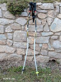 Bastoncini Sci della SCOTT, 110cm.