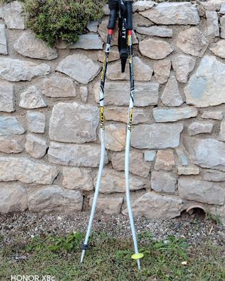 Bastoncini Sci della SCOTT, 110cm.