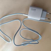 caricabatterie cellulare smartphone 