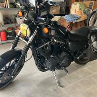Harley-Davidson Sportster 883