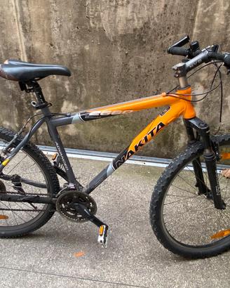Bici mountainbike