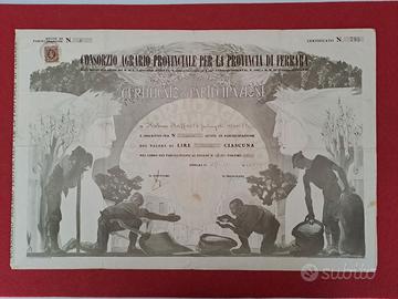 Certificato Azionario Agrario Cambellotti