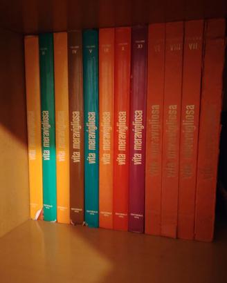 enciclopedia Vita Meravigliosa. 12 volumi.