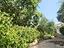 Immagine 16