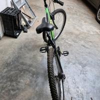 Bicicletta Mountain bike