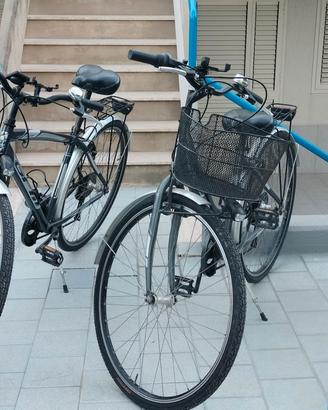 2 da passeggio 1 Mountain bike 