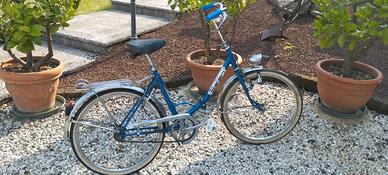 Bici pieghevole ruota da 24 