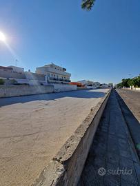 Terreno /park