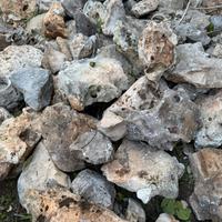 Pietre da giardino