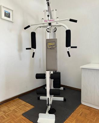 Palestra multiuso