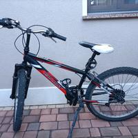Mountain-bike 24"