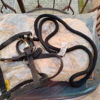 Capezza, longhina e frustino Fouganza 