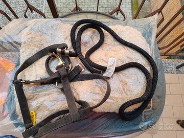 Capezza, longhina e frustino Fouganza 