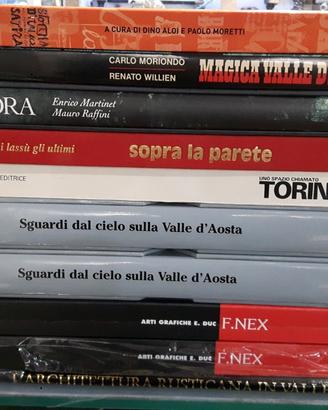Libro catedrale d'aosta e altri