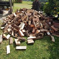 legna verde da ardere d'acacia del mio bosco 