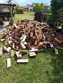 legna verde da ardere d'acacia del mio bosco 