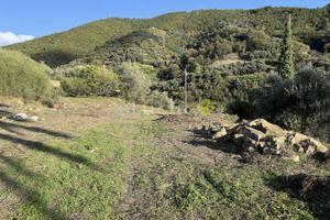 Terreno Edificabile a Bordighera