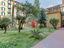 Immagine 7