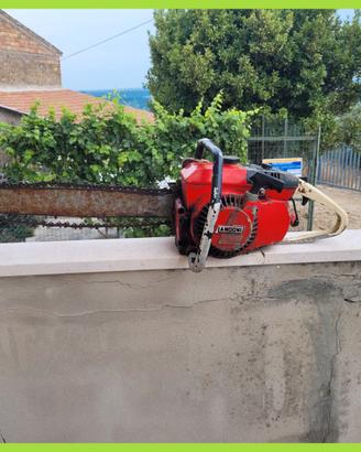 Landoni macchina motosega
