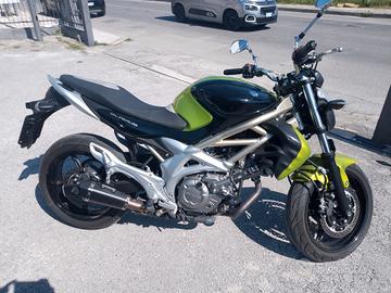 Suzuki Gladius 650 POCHISSIMI CHILOMETRI - PARI AL