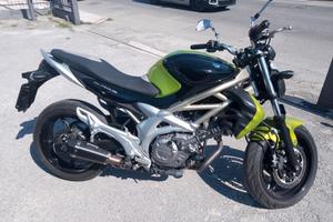 Suzuki Gladius 650 POCHISSIMI CHILOMETRI - PARI AL