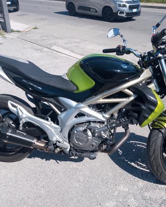 Suzuki Gladius 650 POCHISSIMI CHILOMETRI - PARI AL