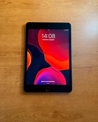 iPad Mini 5