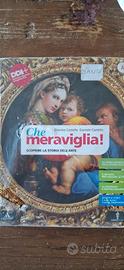 libro che meraviglia 