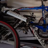 mountain bike  stato e funzionanti