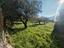 Immagine 11